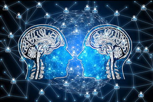 开yun官网-篮球专项技能动作视频资源开发及多媒体教学，篮球动作技术