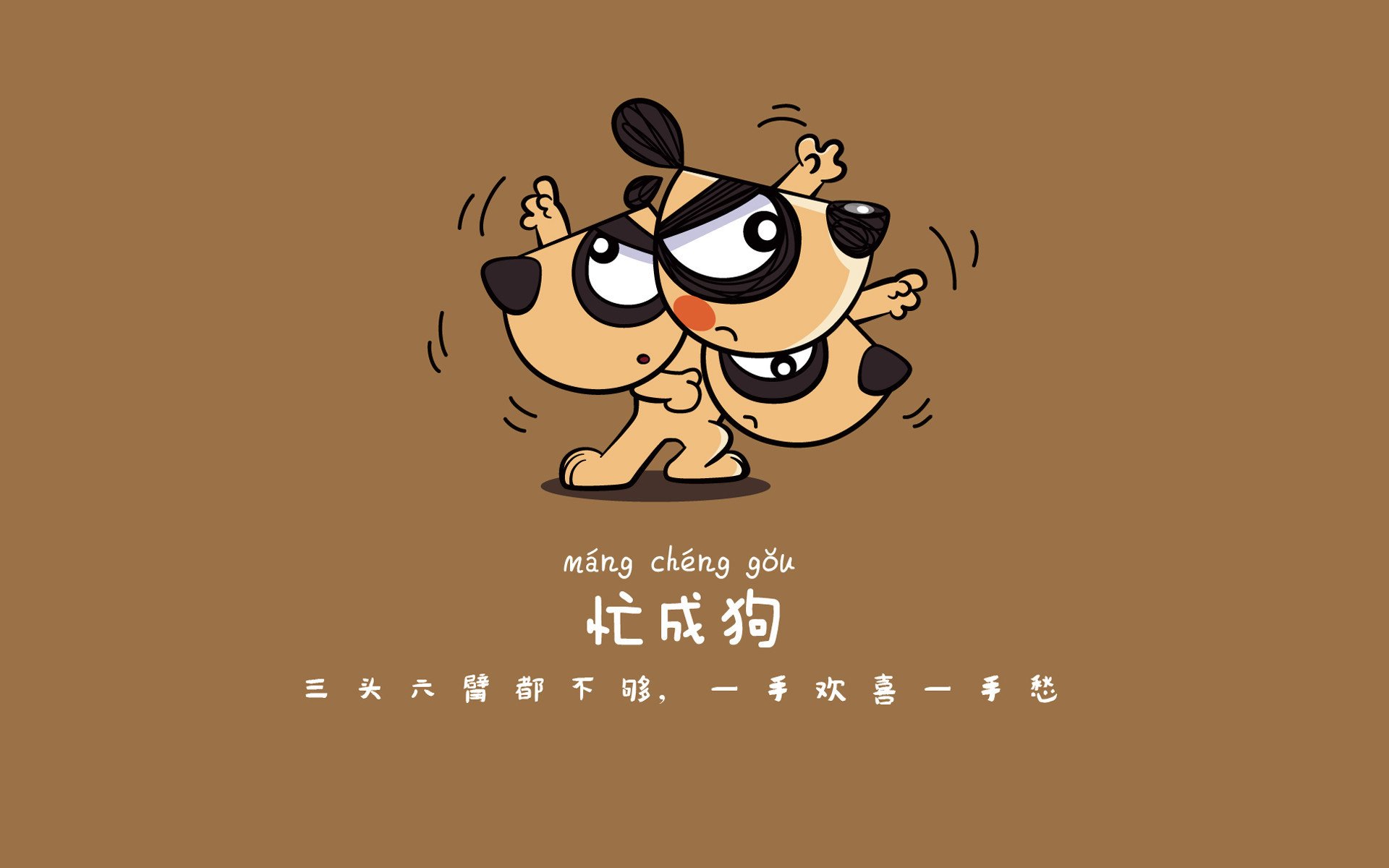 运动装备市场发展趋势，运动装市场分析