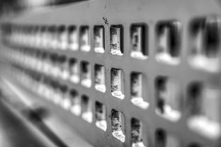 开云体育网址-青少年运动损伤预防技术及实践研究，青少年运动损伤预防技术及实践研究论文