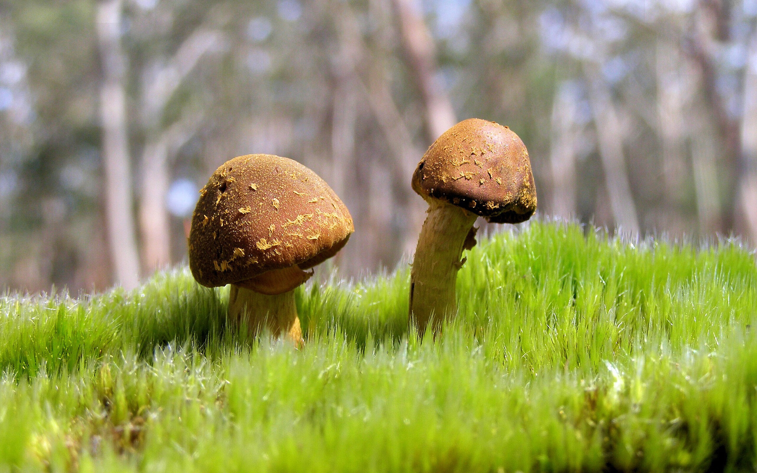 开云体育网址-世界划手会师成都，共绘湖上竞技图