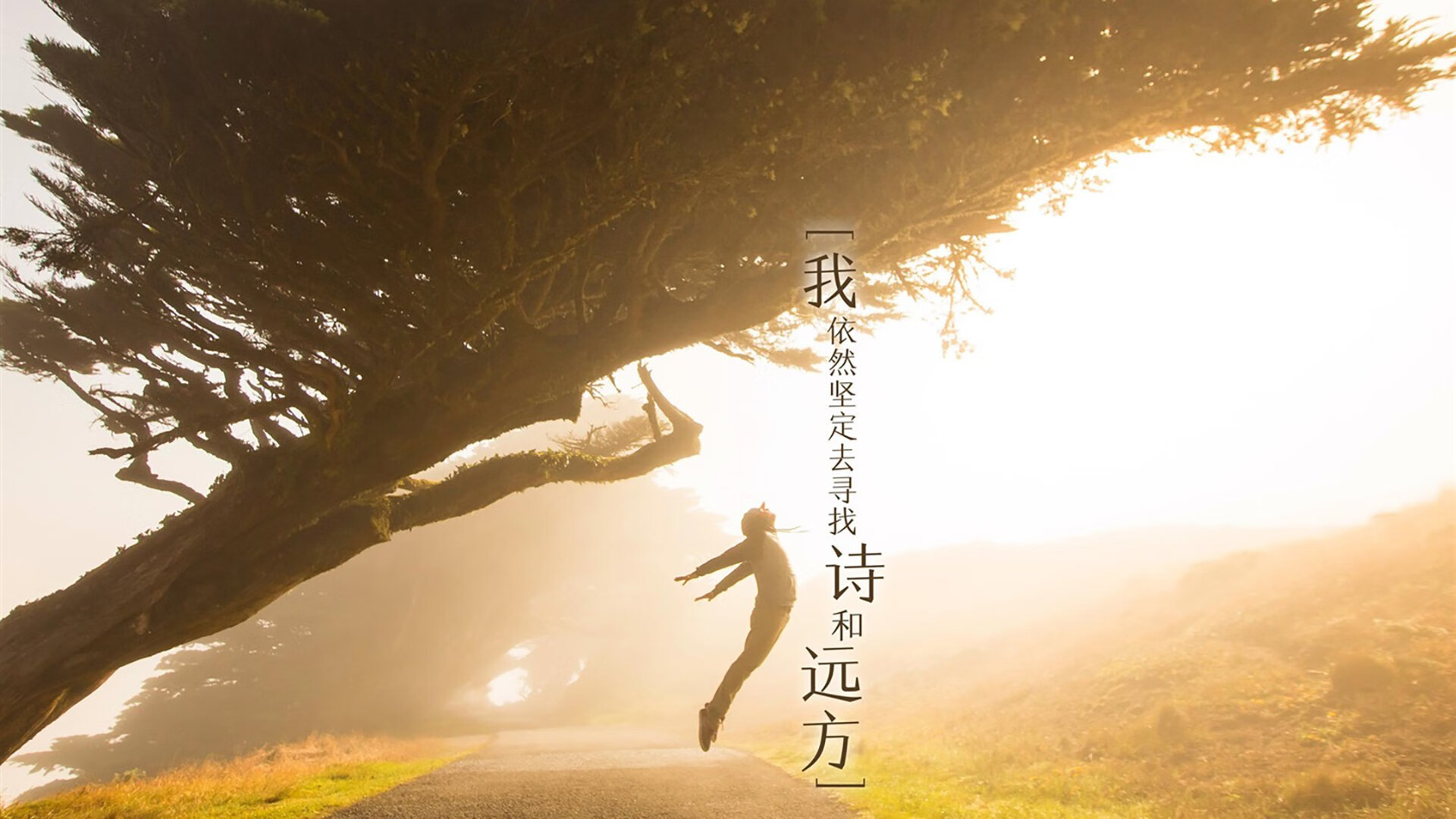 世界泳联盛赞美国男队整体实力,世界泳联盛赞美国男队整体实力的句子