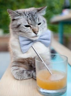 教练组强调重建团队信任,教练组强调重建团队信任的句子