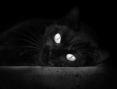 开云体育在线-新加坡队赛制分析：在团队赛事中如何实现最佳人员组合，新加坡赛制注重什么