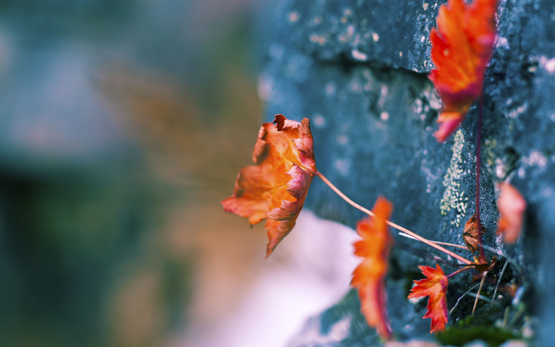 开云官方网-球队是否利用中圈区域制造节奏调控点