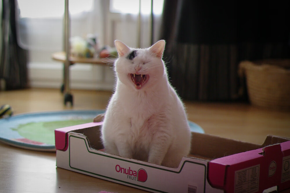 开云ky官网-国家体育总局发布全民健身场馆合理布局指导意见，全民健身场地设施项目建设标准