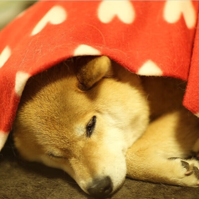 国家体育总局发布全民健身场馆合理布局指导意见，全民健身场地设施项目建设标准