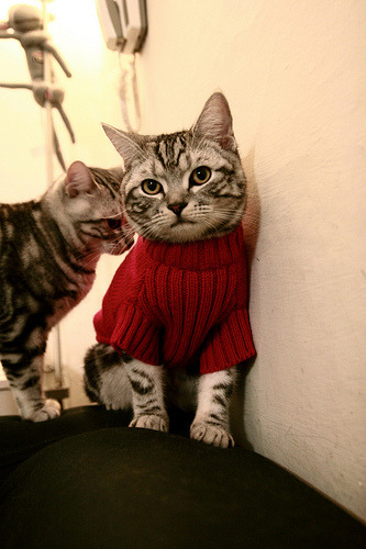 开云官方网-国家队开展心理疏导课程增强球员抗压能力，心理疏导队伍