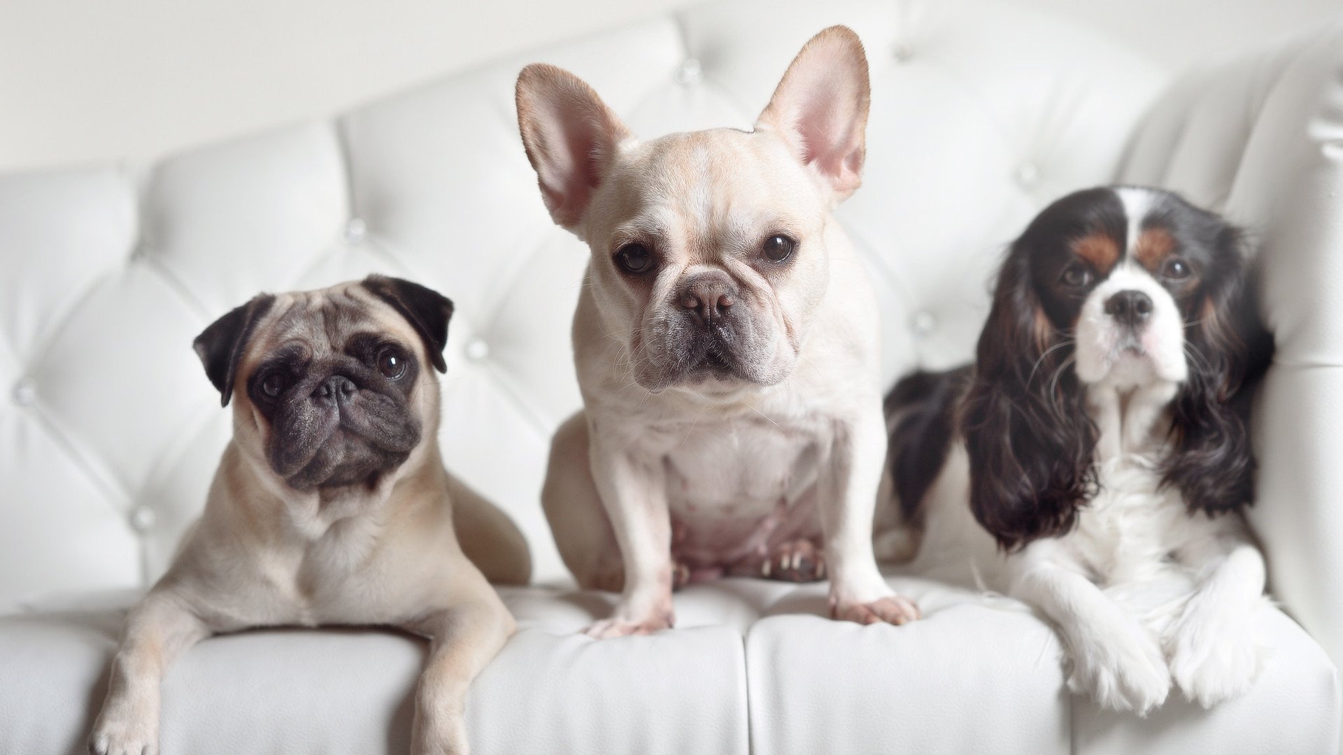 kaiyun网址-李冰洁决赛表现收获专业肯定，李冰洁比赛时间