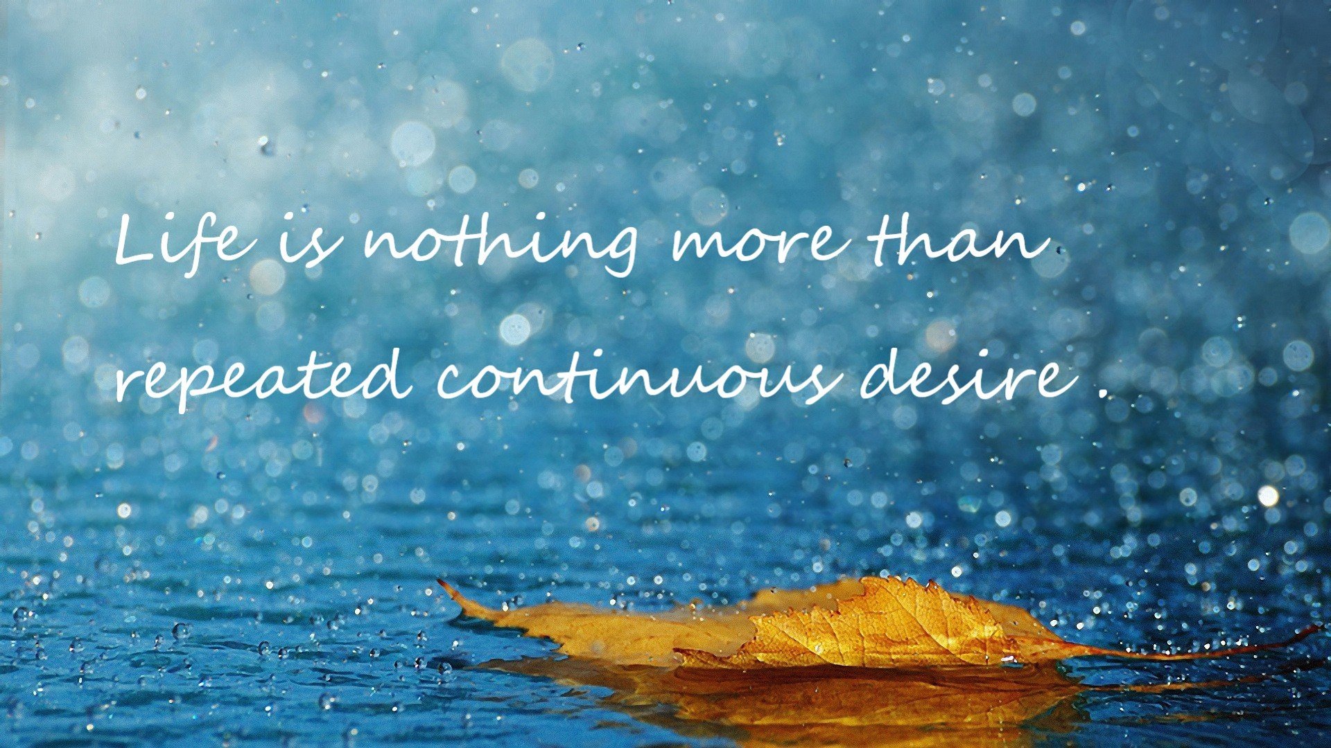 英国队稳定发挥成夺冠关键因素,英国队实力